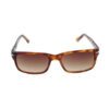 AUGEN Unisex Brown Lens & Brown Rectangle Sunglasses with