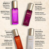 Envy Women Set of 4 Eau De Parfum 20 ml Each - Opulence, Bewitch, Radiant, Enchant