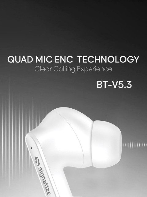 SIGNATIZE Truly Wireless In Ear Earbuds