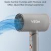 VEGA 1400 Watts Hair Dryer With Ionic Technology & Cool Shot Button VHDH-28